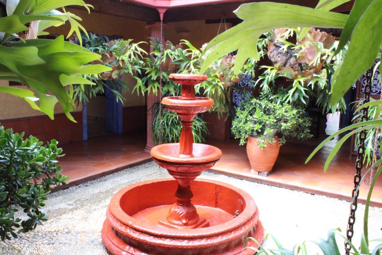 Ecohotel La Masia Llanogrande  Dış mekan fotoğraf