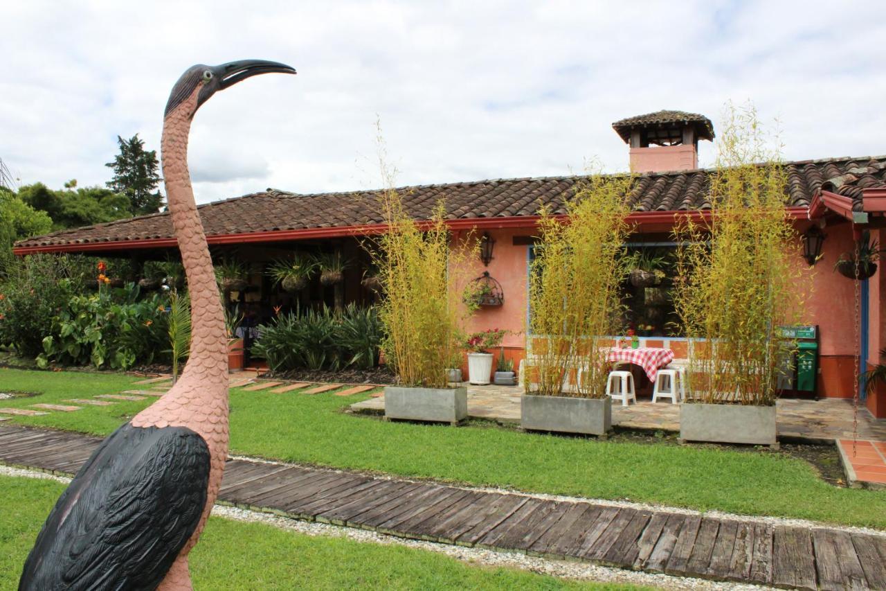 Ecohotel La Masia Llanogrande  Dış mekan fotoğraf