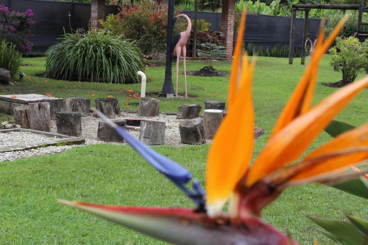 Ecohotel La Masia Llanogrande  Dış mekan fotoğraf