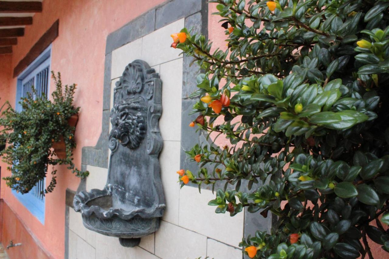 Ecohotel La Masia Llanogrande  Dış mekan fotoğraf